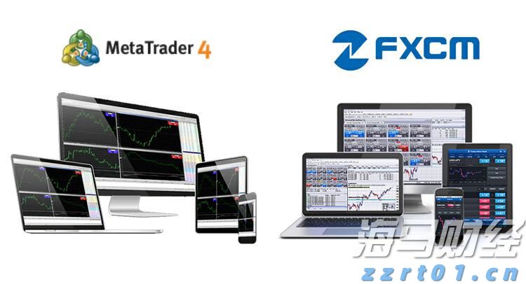 广东好物在2025全国名特优新农产品产销对接活动上实力圈粉